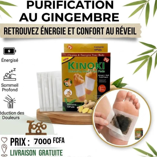 Bio Détox Patch Kinoki
